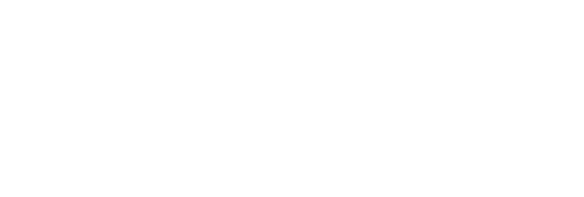 Bipa