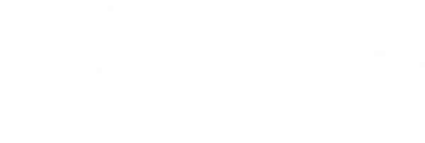 Bipa